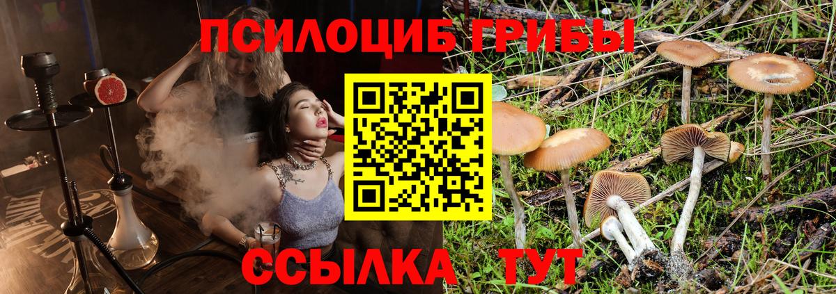 Дюртюли  Галлюциногенные грибы Psilocybe  наркотики  Вход с VPN 